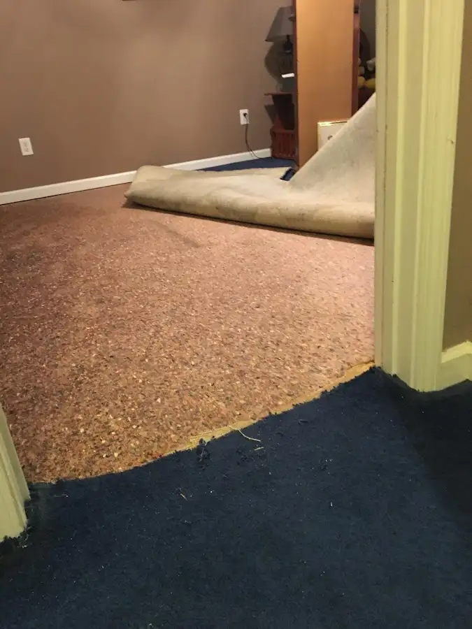 Carpet pad removal revealing water damage during Drying & Dehumidification in Hopewell
